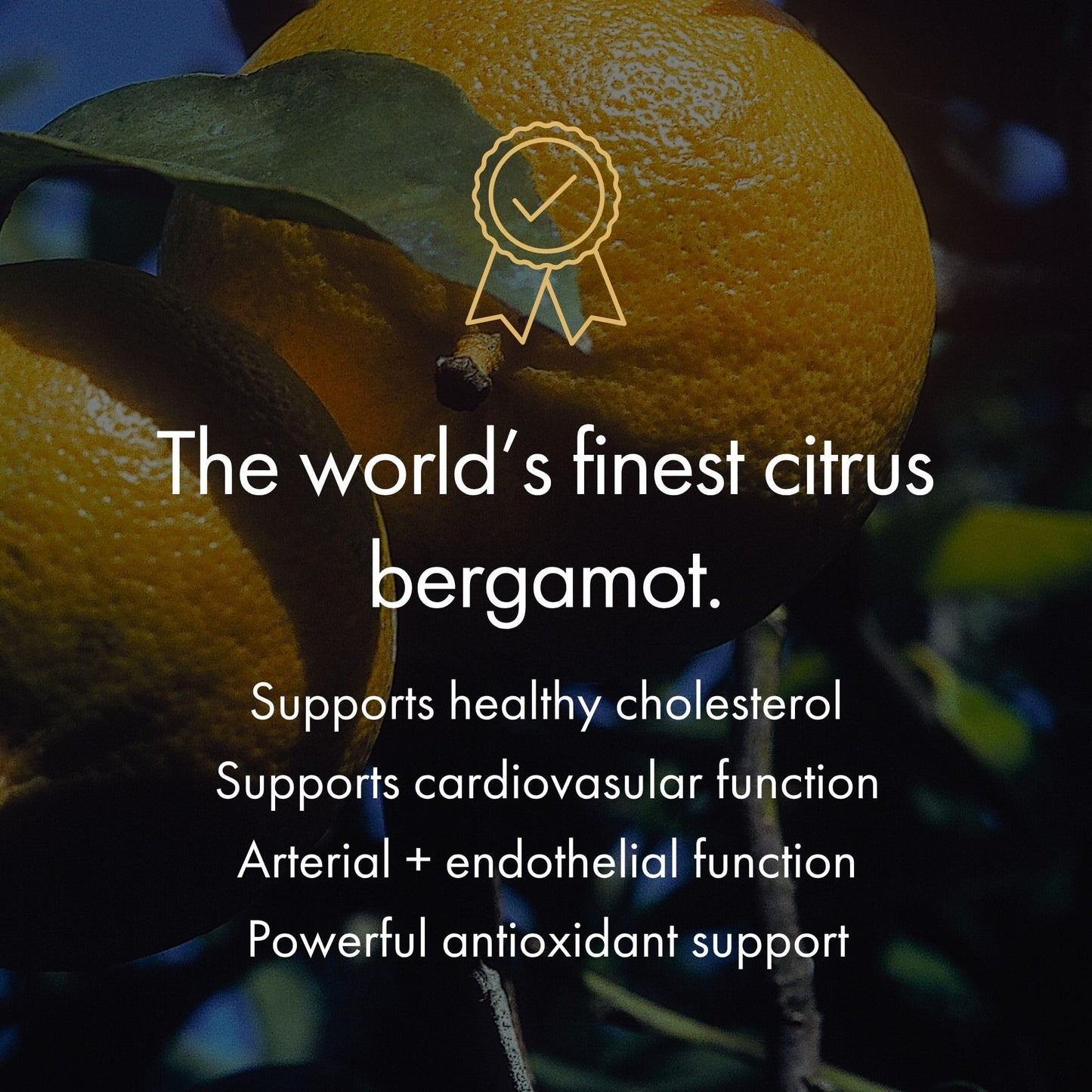 NAOMI Italian Citrus Bergamot 500mg + Resveratrol, Award-Winning Cardiologist Dvlpd, Supports Normal Cholesterol & Healthy Cellular Function, 7 Key Polyphenols NAOMI