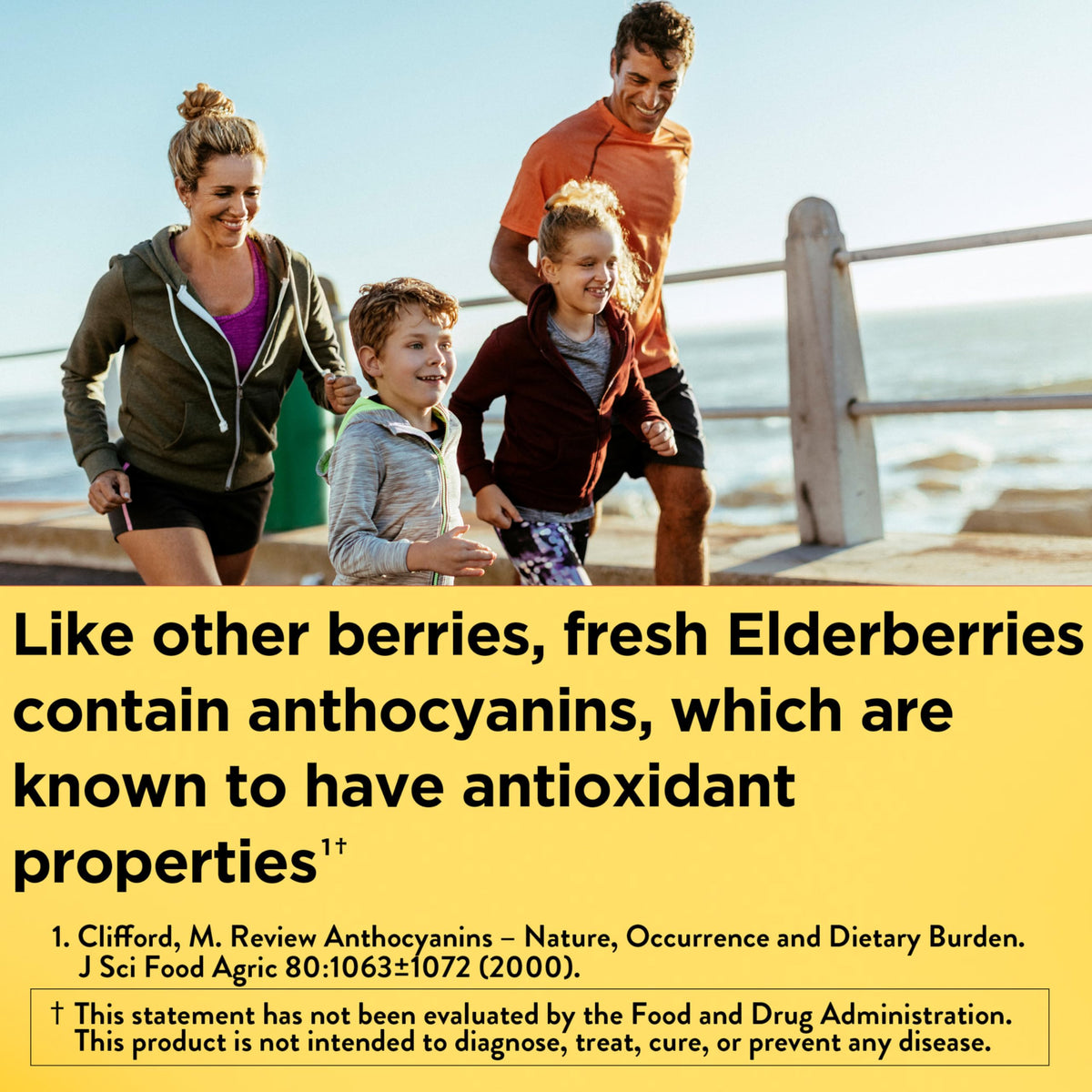 Nature Made Elderberry Gummies with Vitamin C and Zinc, Dietary Supplement for Immune Support Nature Made