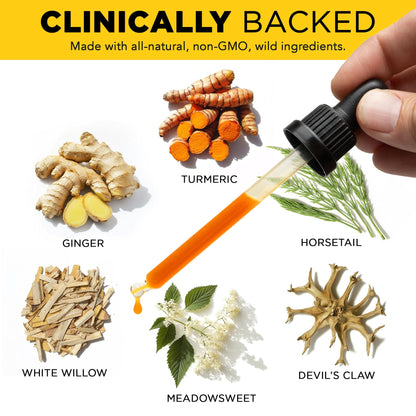 Juicy Joint by Plants Basically – Joint Support Supplement for Mobility, Relief & Recovery | Plants Basically