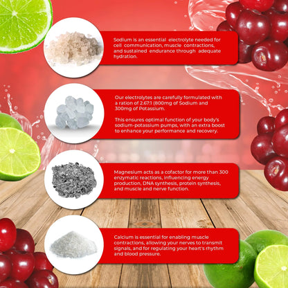 Santa Cruz Paleo Electrolyte Powder, Cherry Limeade, Sugar Free Hydration Drink Mix with Himalayan Pink Salt, Sea Salt, Magnesium Glycinate, Potassium Chloride Santa Cruz Paleo