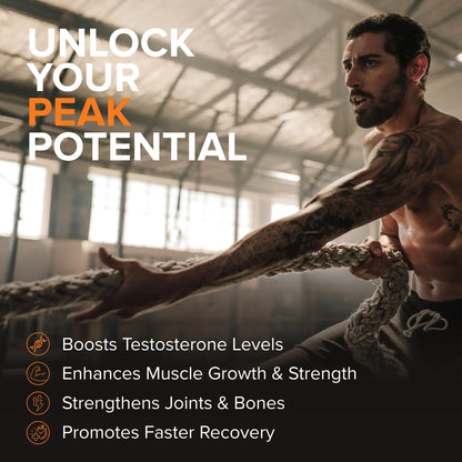STRIVLABS Peak Potential 12-in-1  Support for Men – Fenugreek, Ashwagandha & Tongkat Ali – Natural Strength STRIVLABS