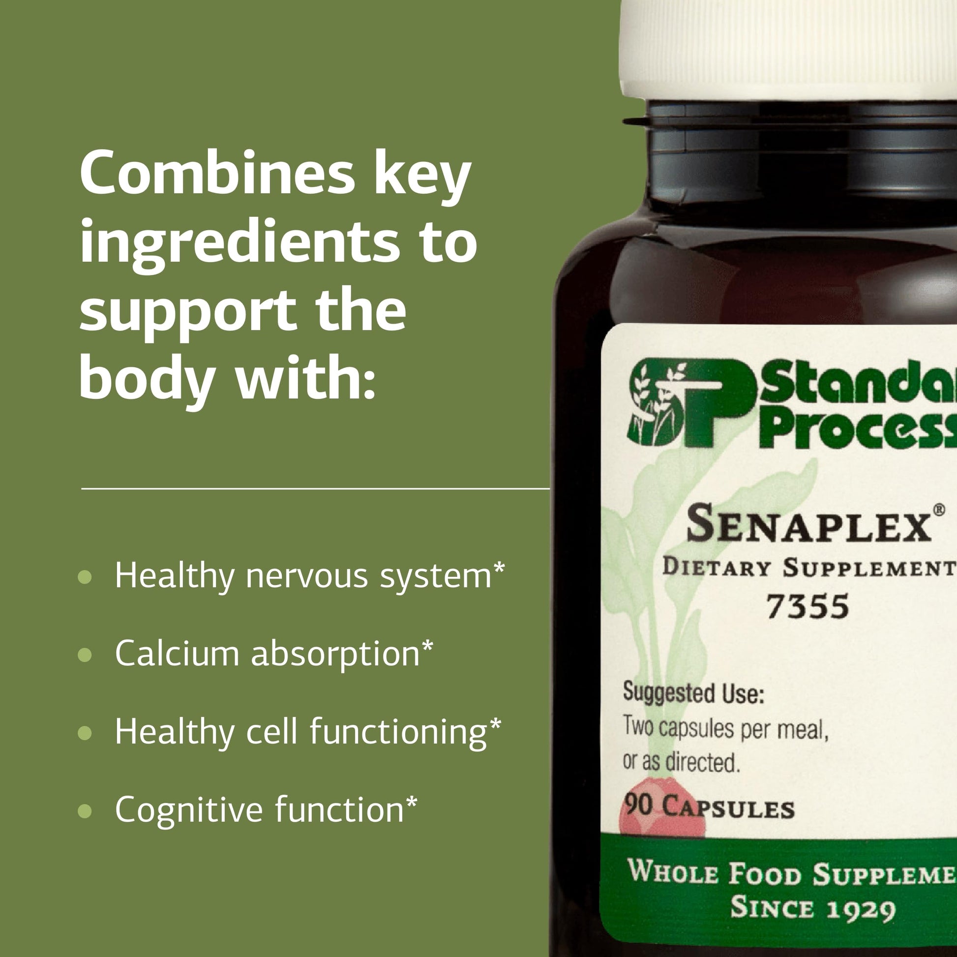 Standard Process Senaplex - Nervous System Support with Niacin, Vitamin B12 & B6 - Supports Brain Health & Cellular Health - Offers Antioxidant Activity - Non-Dairy - 90 Capsules (45 Servings) Standard Process Inc. buy australia supplements