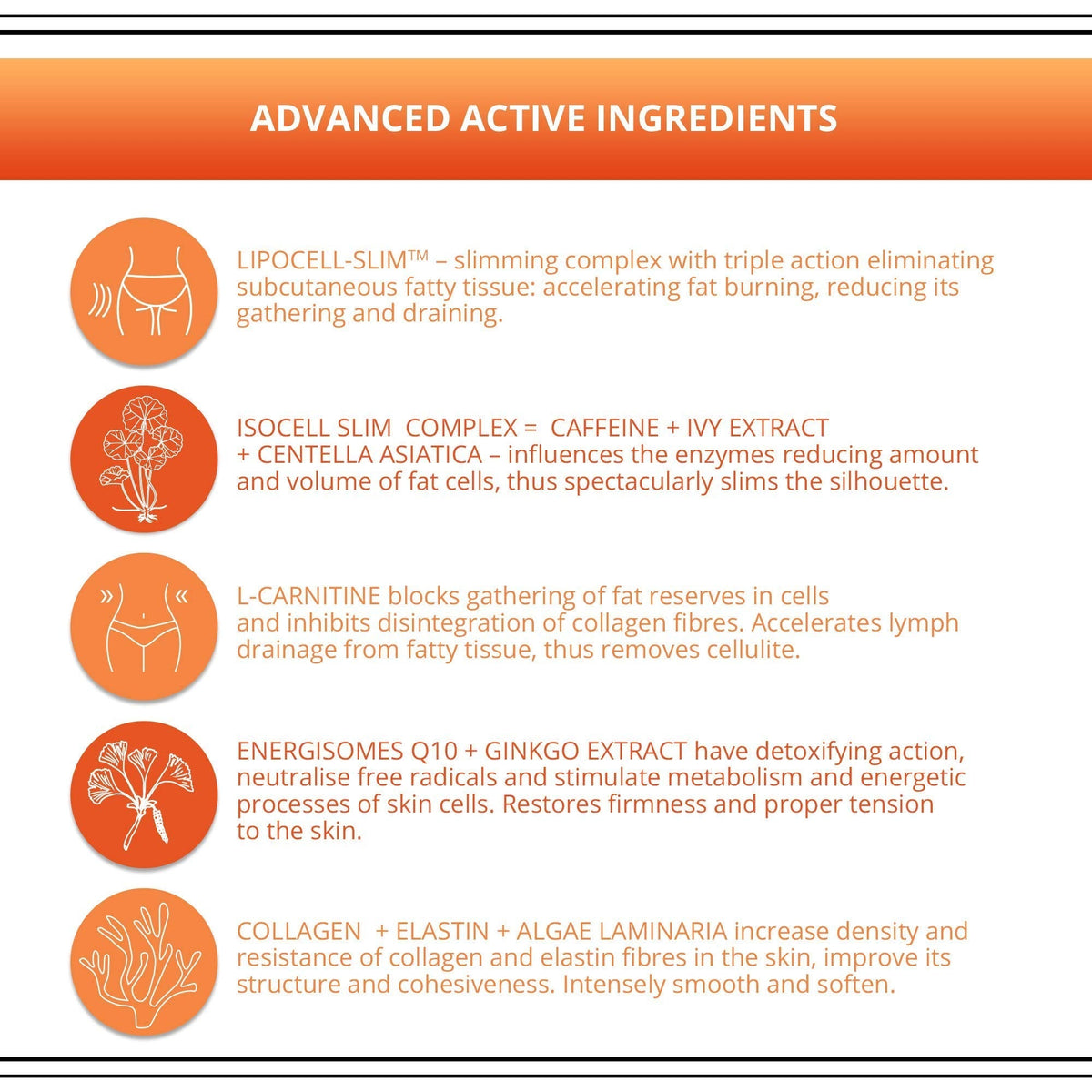 Eveline Slim Extreme 4D Liposuction Body Serum, 8.80 Fluid Ounce EVELINE COSMETICS