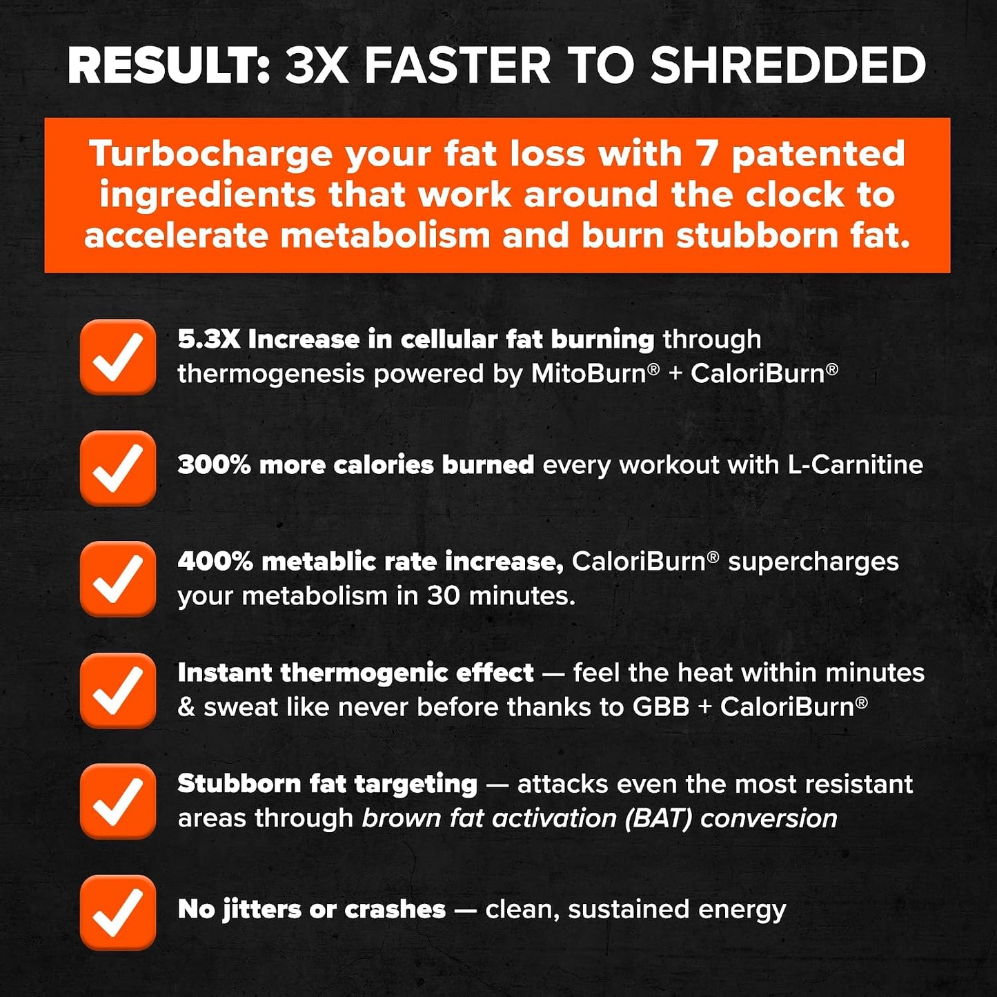 ALPHA LION Stubborn Fat Loss Stack – Superhuman Burn Pre Workout + Burn2O Liquid L-Carnitine 2000mg (ShredBerry) – 2-in-1 Thermogenic Fat Burning Stack for Men & Women
