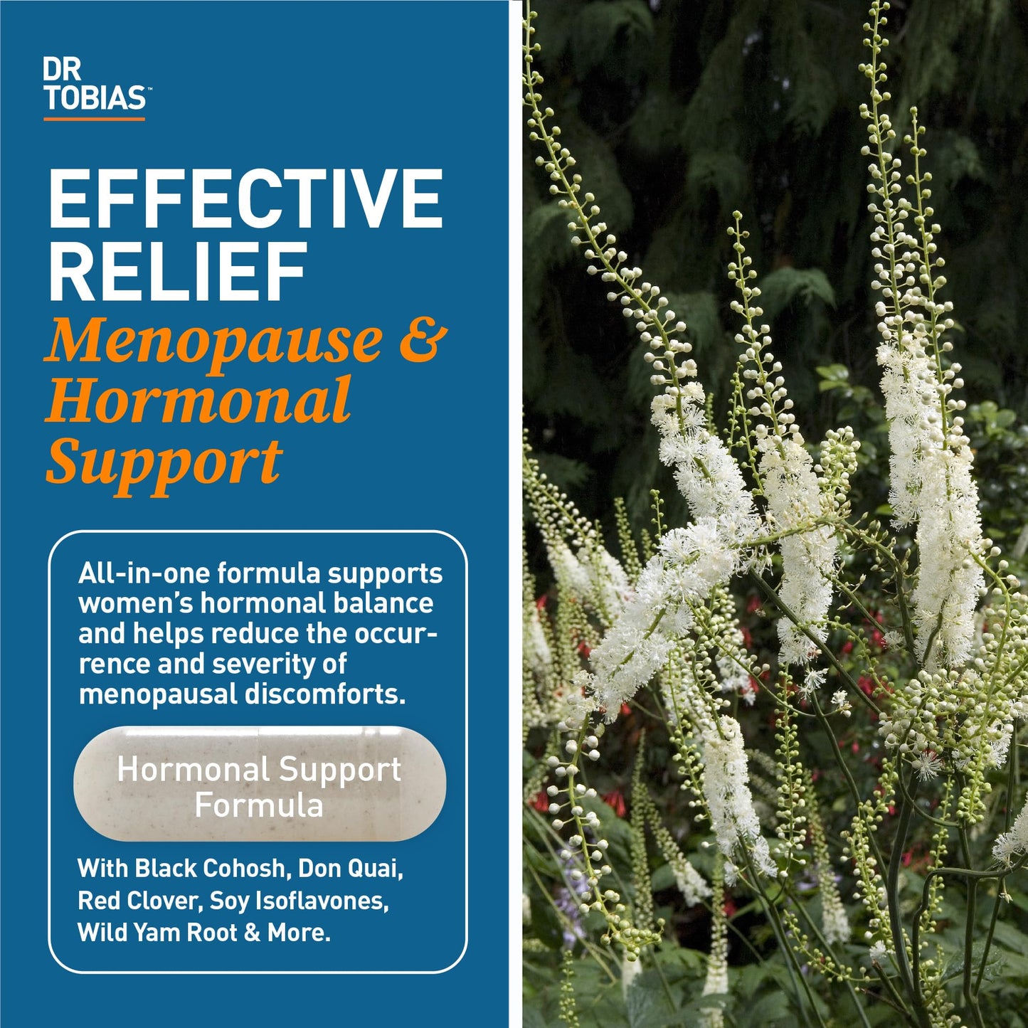 Dr. Tobias Menopause Relief with Black Cohosh, Soy Isoflavones, Don Quai, Hot Flash & Night Sweats Relief for Women, Non-GMO Menopause Supplements for Women, 60 Capsules, 30 Servings