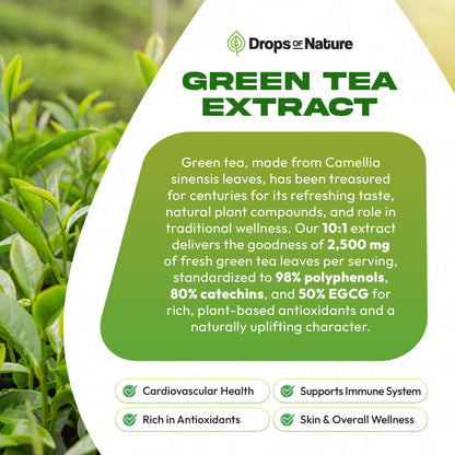Green Tea 10:1 Extract 50% EGCG - Green Tea Liquid Drops - Vegan, 4X More Powerful Than Pills & Capsules - 2oz Antioxidant & Immune Supplement Drops Of Nature