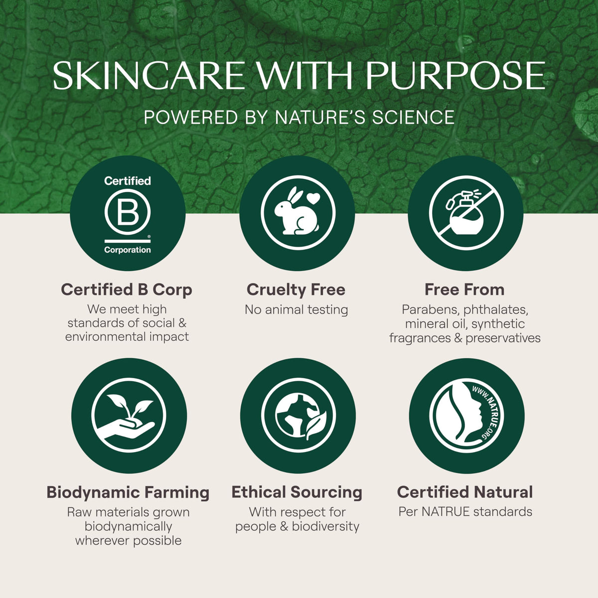 Weleda Skin Food Original Ultra-Rich Body Cream 2.5 Fluid Ounce, Plant Rich Hydrating Moisturizer with Pansy, Chamomile and Calendula Weleda