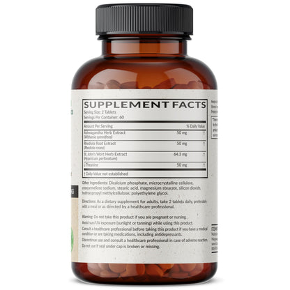 Futurebiotics Chill Pill + Ashwagandha, Rhodiola, St. John’s Wort, & L-Theanine - Non-GMO, 120 Vegetarian Tablets Futurebiotics
