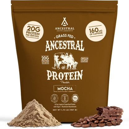 Ancestral Supplements Grass Fed Protein Powder, Chocolate, Beef Bone Broth Based w/Beef Organs & Organic Mushrooms, Gut Health Support, High Protein Supplement, 20g Protein Per Serving, 30 Day Supply