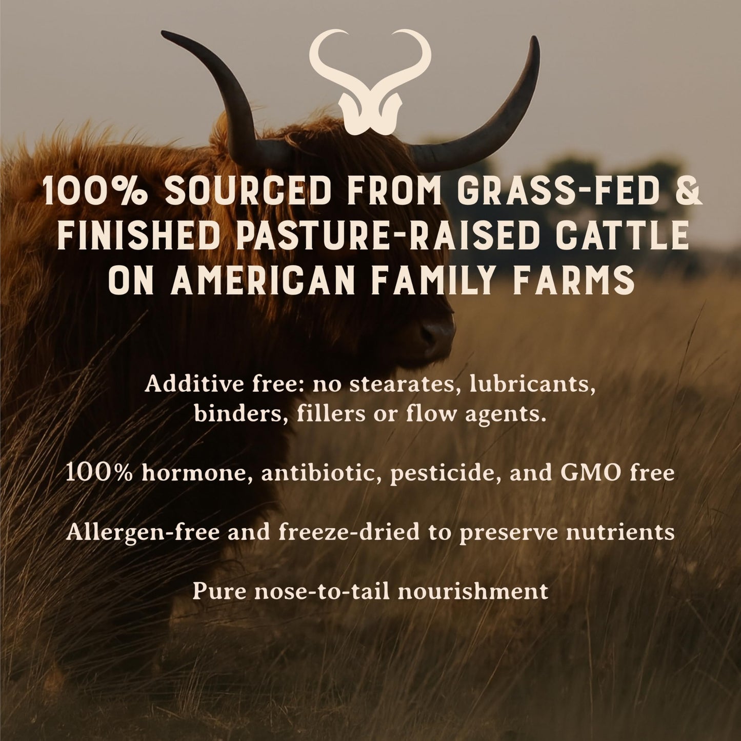 HEART & SOIL – 100% Grass Fed & Finished Beef Organs from Regenerative Cattle with Liver, Heart, Kidney, Pancreas & Spleen – 3000mg Beef Organ Supplement for Women & Men – Glass Bottle – 180 Capsules