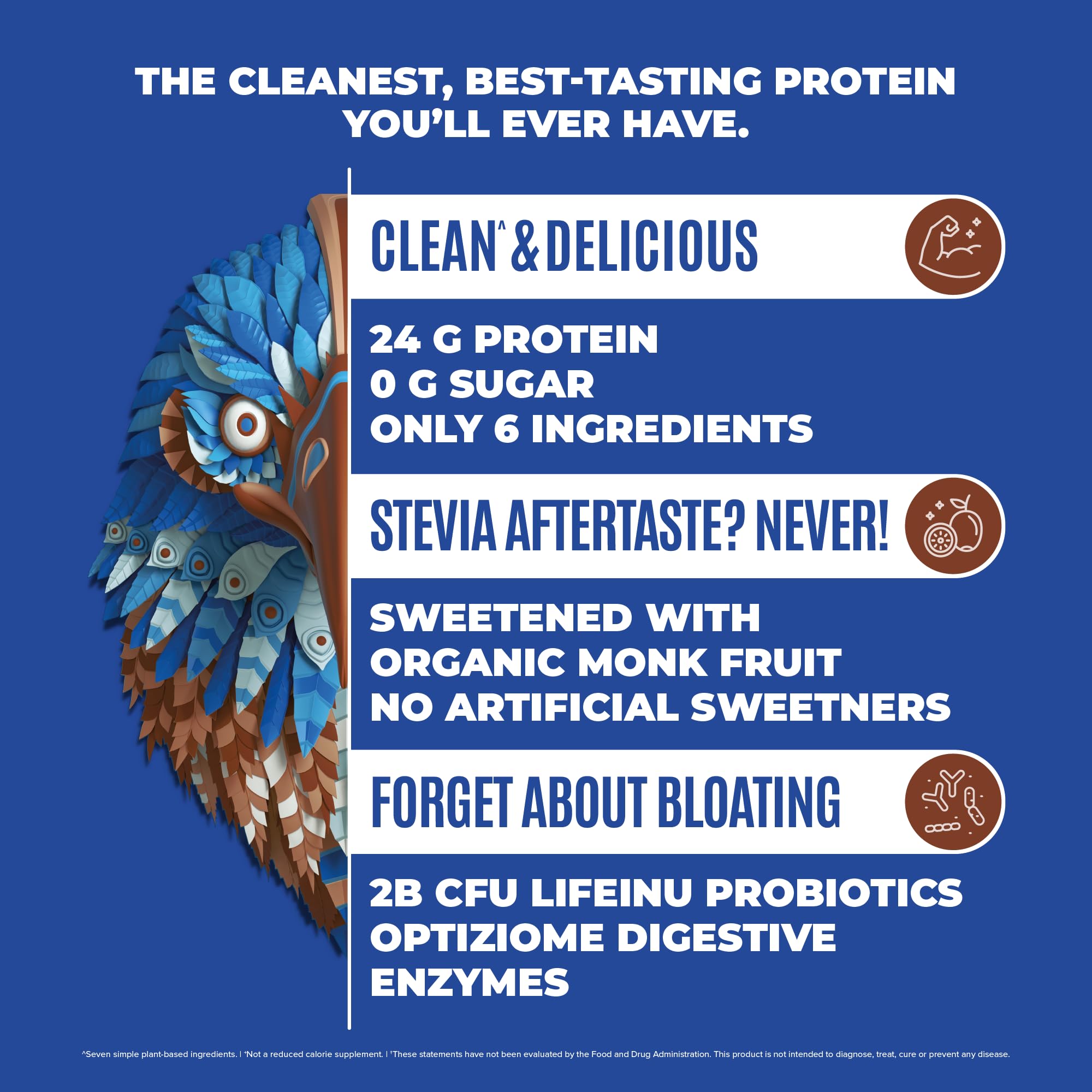 BIRDMAN Falcon Vegan Protein Powder Organic, Stevia & Sugar Free, Plant Based Protein BIRDMAN buy australia supplements