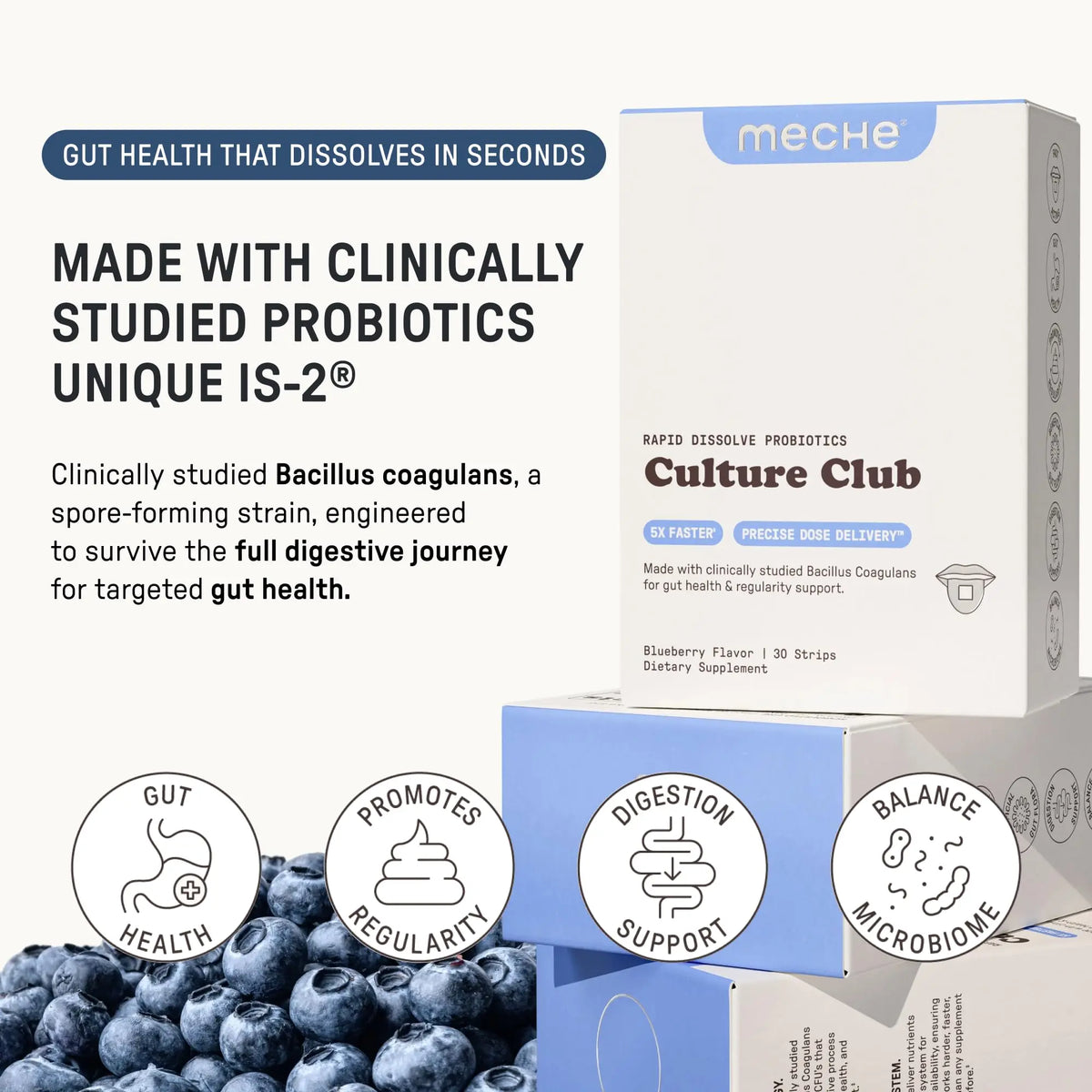 Meche Culture Club Probiotics for Digestive Health and Regularity - 5 Billion CFUs, Probiotics for Women and Men - Gut Health Supplements - Dissolve Strips Meche