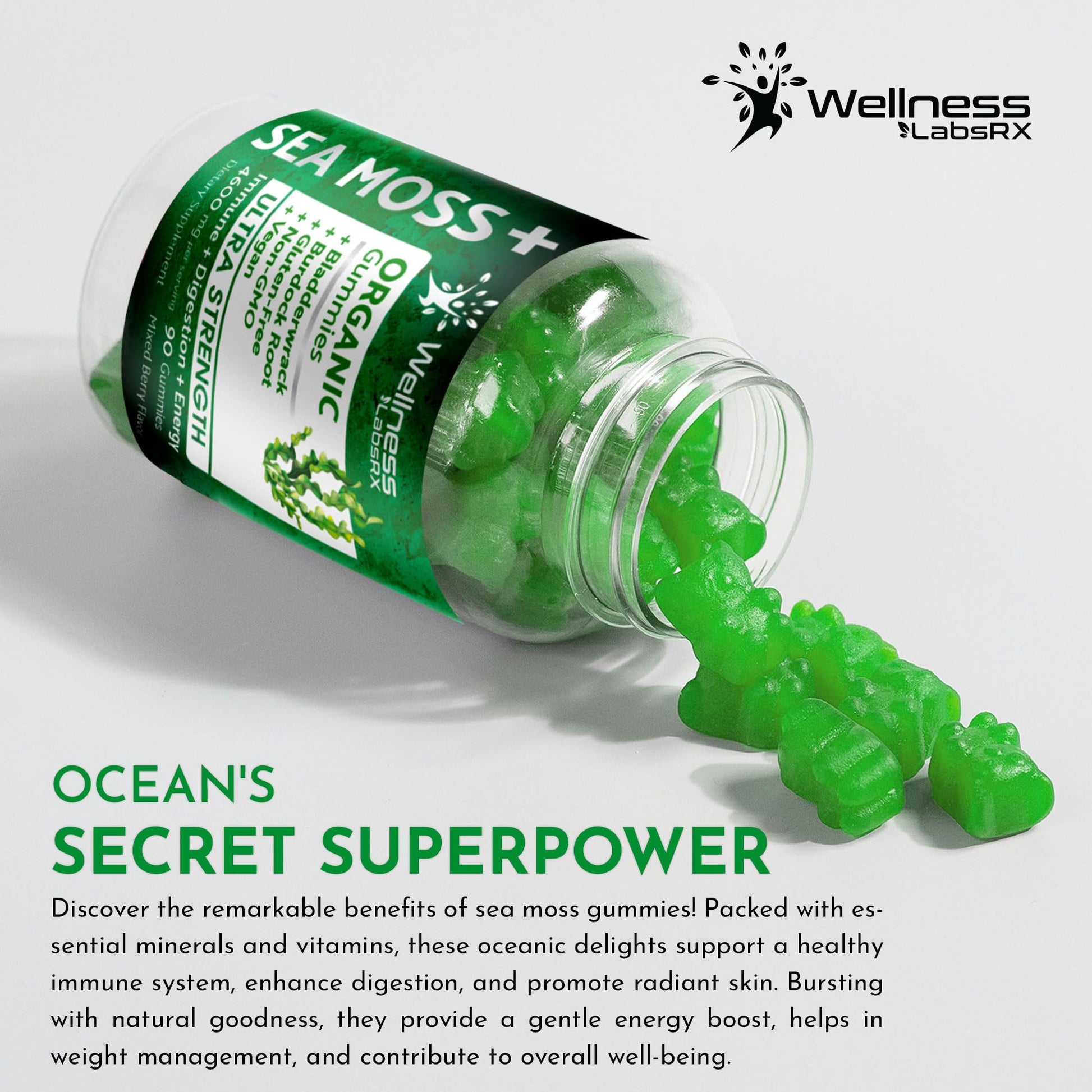 WELLNESS LABSRX Sea Moss Gummies, 3200mg Organic Seamoss, Irish Sea Moss WELLNESS LABSRX buy australia supplements