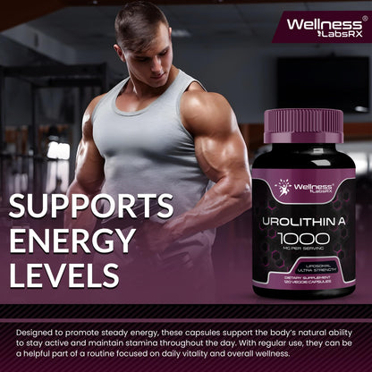Urolithin A Supplement Capsules 1,000mg (98.9% Pure) – Advanced Urolithin A+ Formula for Cellular Renewal & Mitochondrial Support WELLNESS LABSRX