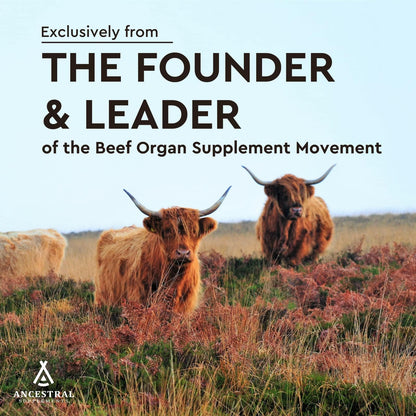 Ancestral Supplements Grass Fed Beef Heart Supplement, 3300mg, CoQ10 Supplement Supports Heart and Mitochondrial Health, Non-GMO, 180 Capsules