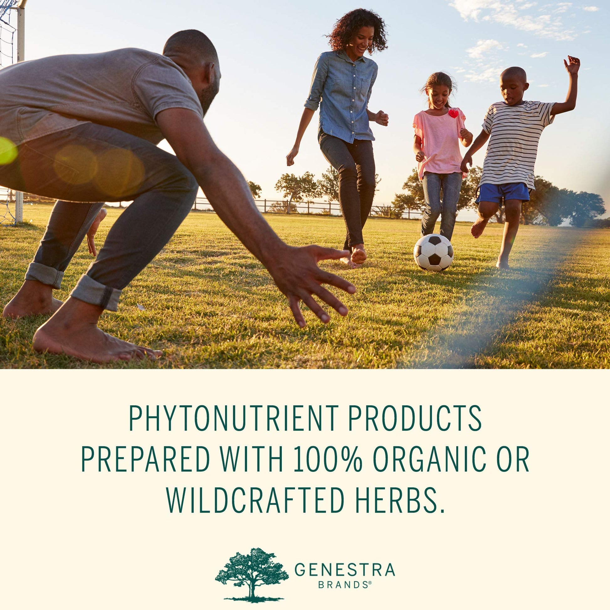 Genestra Brands Phyto Greens Capsules | Vitamins, Dietary Fiber and Enzymes for Optimum Nutrition | 180 Capsules Genestra Brands buy australia supplements