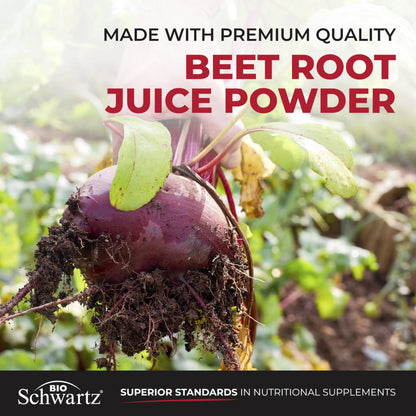 Sugar Free Beet Root Gummies - Nitric Oxide Gummies Infused with Coconut Oil for Highest Absorption - Supports Energy & Whole Body Health BioSchwartz