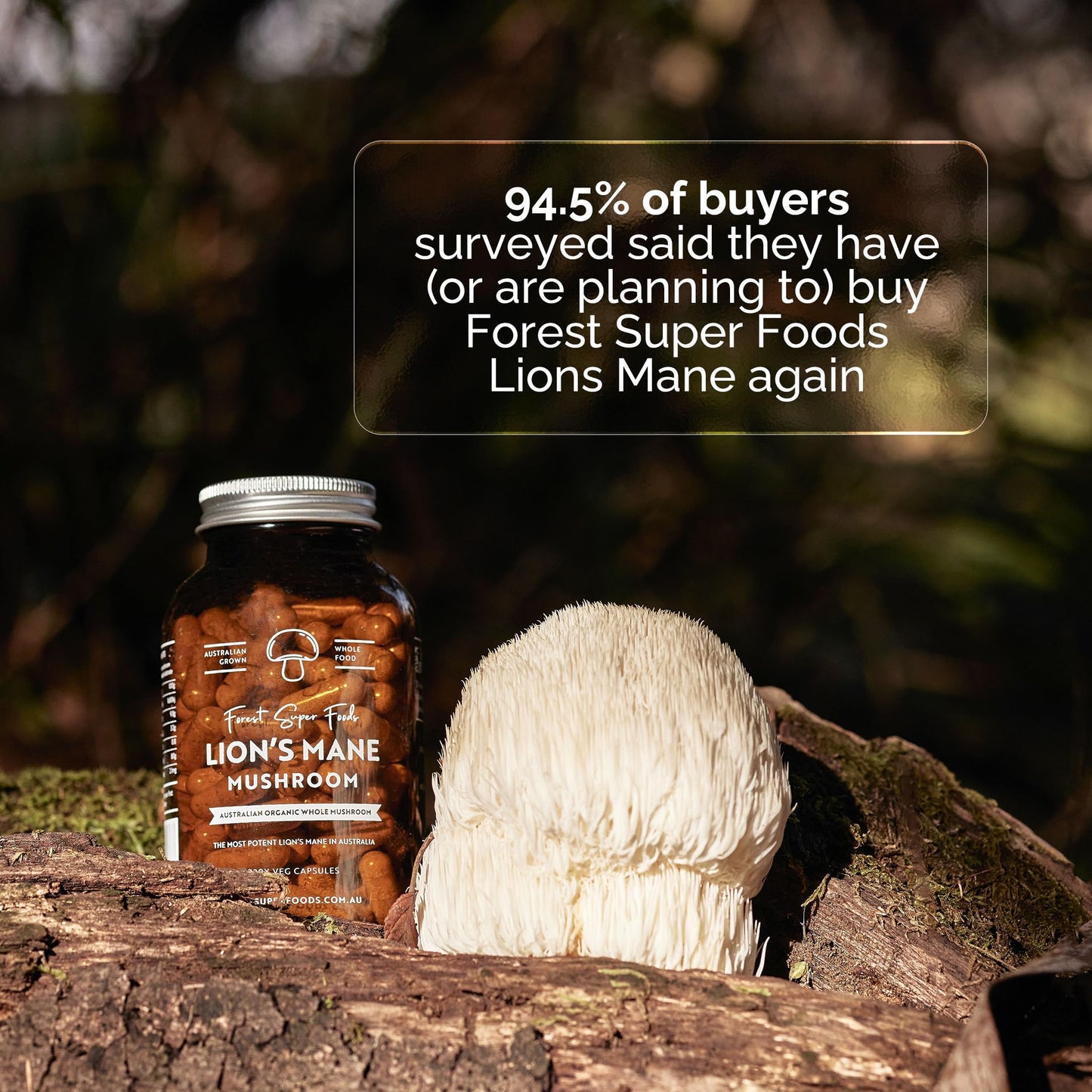 Forest Super Foods Lions Mane Supplement Capsules (120 Capsules) Organic Lions Mane Mushroom | Memory Lift Brain Supplement for Focus and Productivity. Lion Mane, Grown & Made in Australia Forest Super Foods
