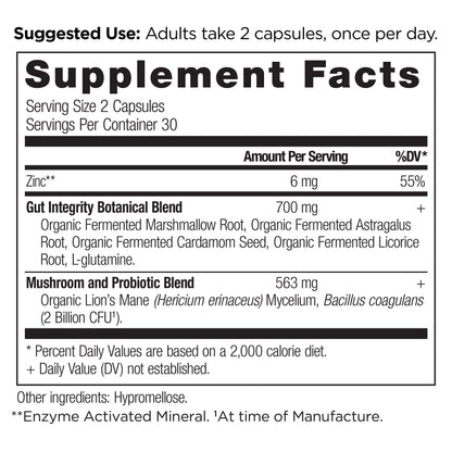 Ancient Nutrition Gut Health Supplement Leaky Gut Capsules, 60ctFormulated with Licorice Ancient Nutrition