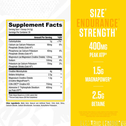 RYSE Loaded Creatine for Men & Women - Electric Lemonade - Muscle Building Formula with 3 Forms of Electrolytes, Betaine Anhydrous and Peak ATP - Strength, Power & Endurance Support - 30 Servings