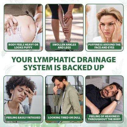 Lymphatic Drainage Capsules Natural Herbal Supplement for Immune Health & Fluid Balance, with Echinacea, Dandelion, and Burdock 60 Capsules Kaseano