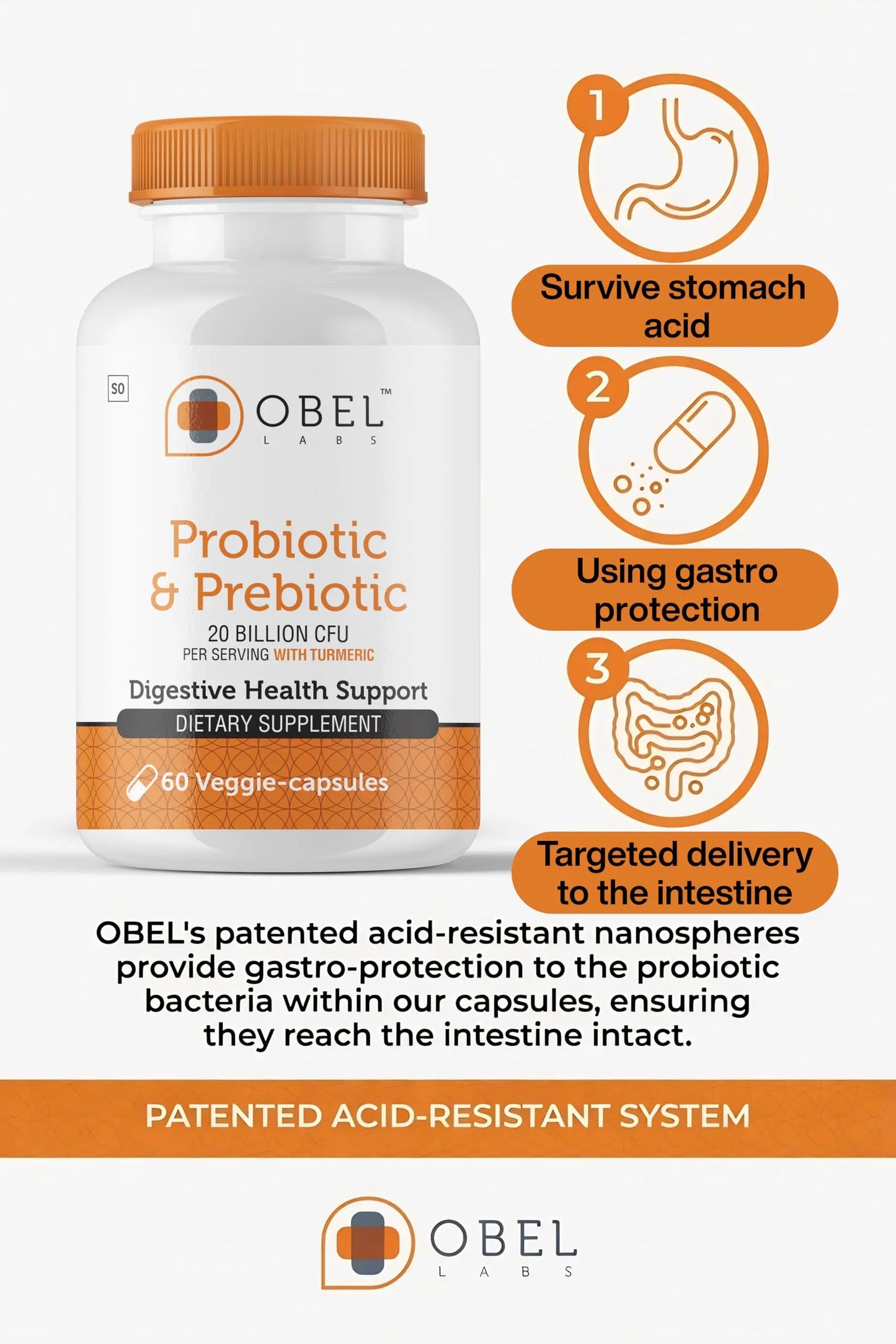 obel Probiotic & Prebiotic Supplement with Turmeric | 20 Billion CFU | 60 Capsules (30 Day Supply) | 4 Strains | Supports Digestion obel