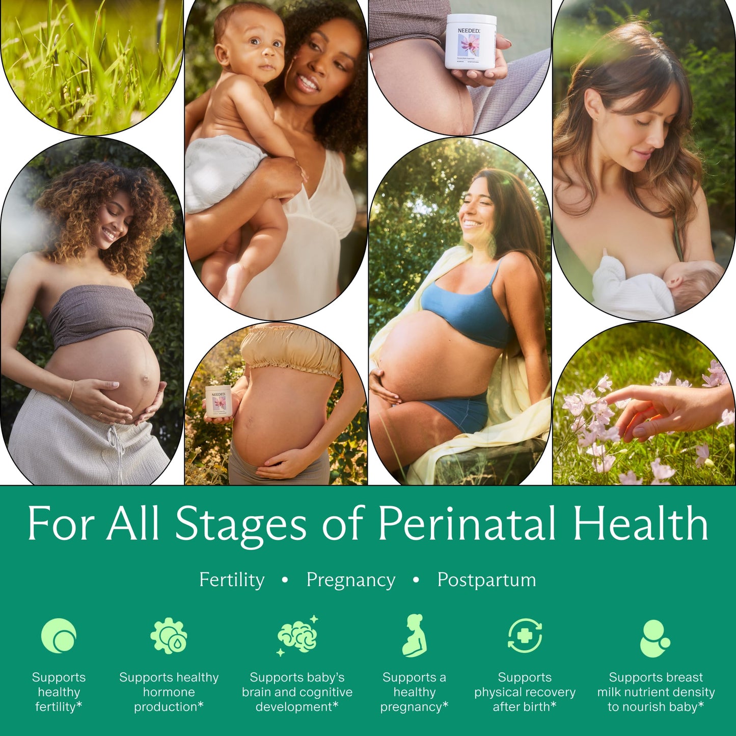 Needed. Multivitamin for Prenatal | Prenatal Multi Essentials Capsule - Pregnancy, Breastfeeding, Postpartum | Expertly-Formulated Needed.
