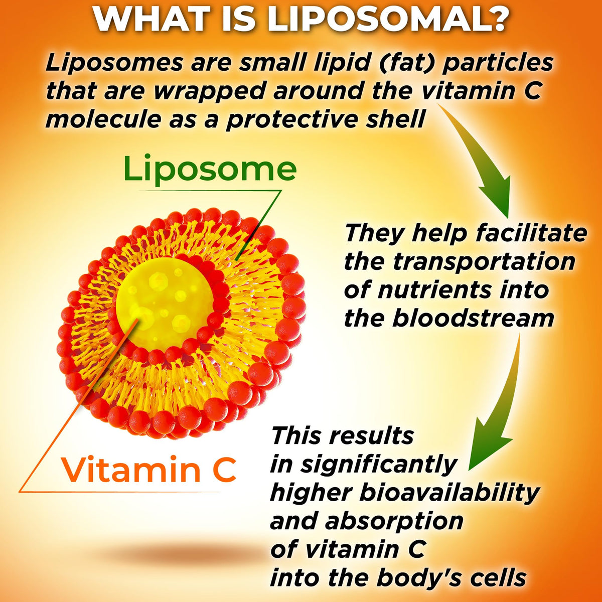 Liposomal Vitamin C Capsules - 1500mg - Made with Organic Acerola Cherries & Camu Camu, High Potency Vitamin C Liposomal - Immune Support Supplement SUPPLEMENTS STUDIO