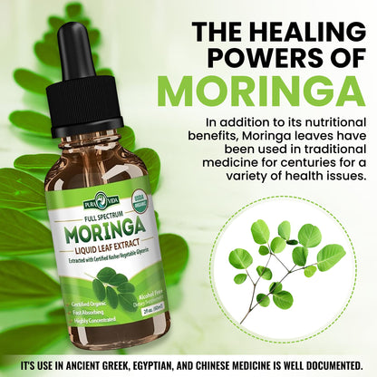 PURA VIDA MORINGA Leaf Extract Liquid Drops - USDA Organic Certified - Highly Purified, Bioavailable & Faster Absorption than Moringa Powder or Capsules PURA VIDA MORINGA