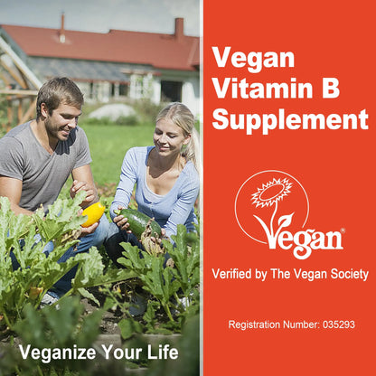 Super Methylated Vitamin B Complex Gummies - All B Vitamins + Omega-3, Magnesium, CoQ10, Ashwagandha,Vitamin C, TMG- For Women Men- Methyl B12 2000 mcg, Methylfolate LILICARE