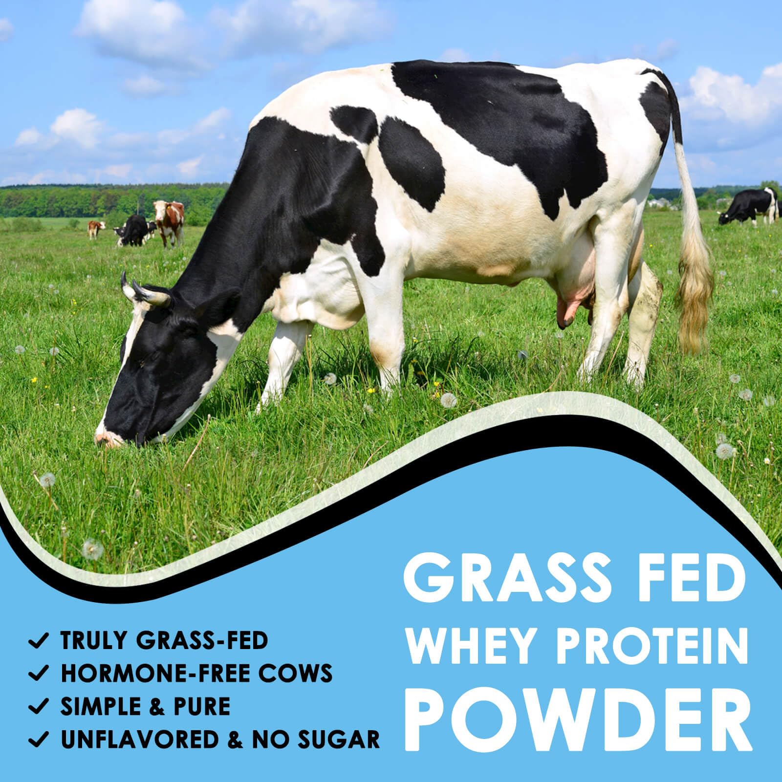NATURE TARGET Unflavored Whey Protein Isolate - 26g Protein, 0g Sugar, Keto Friendly - No rBGH, Grass Fed - Perfect for Coffee, Baking & Smoothies - 1.10 LB (16 Servings) NATURE TARGET buy australia supplements