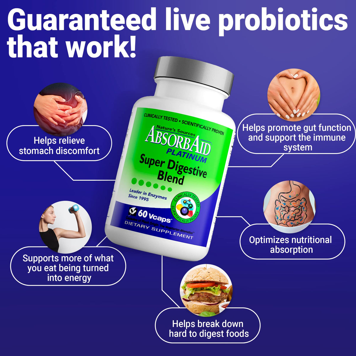 AbsorbAid Platinum Digestive Enzyme Support 60 vCaps, 12 Digestive Enzymes Plus 2 Probiotics for Maximum Relief AbsorbAid