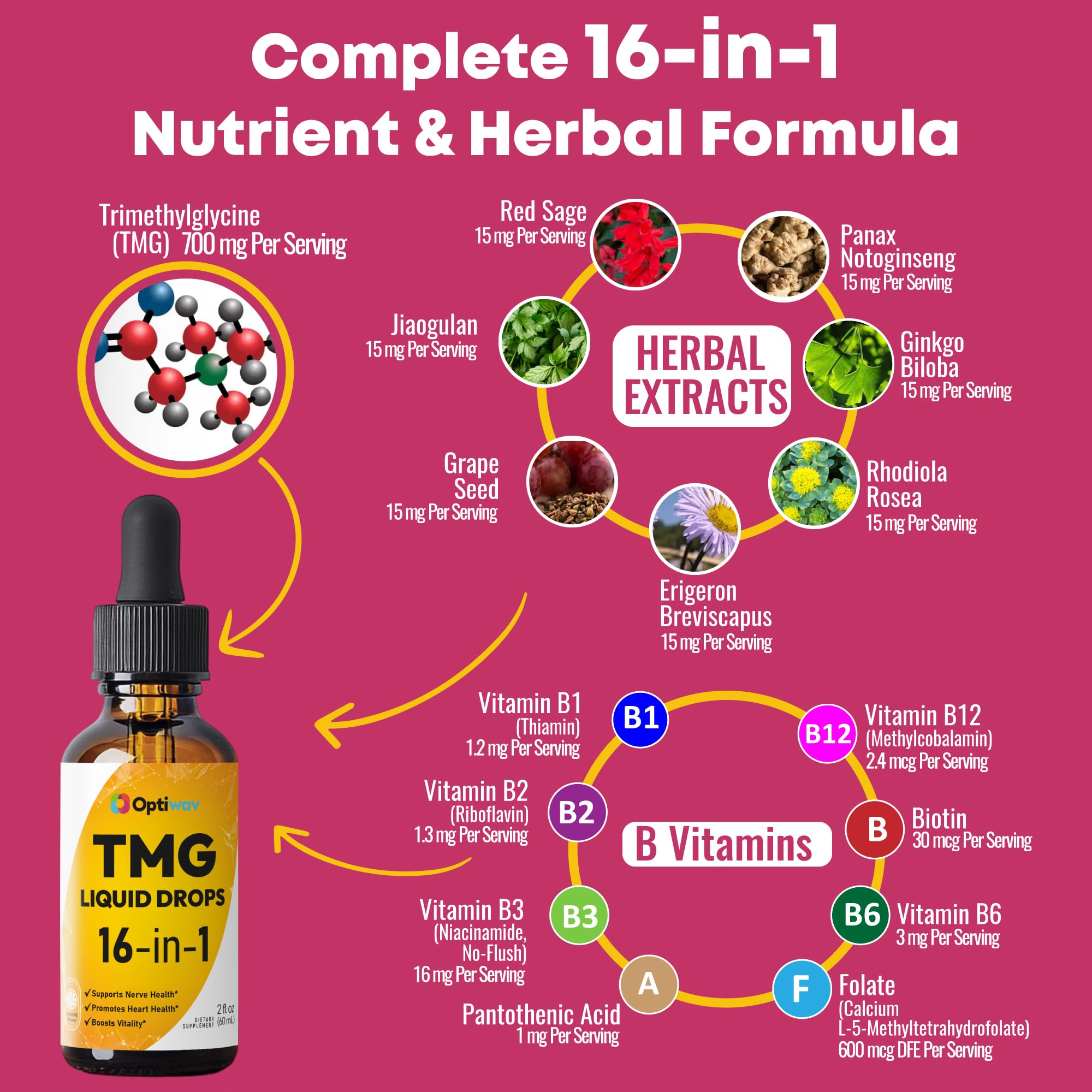 Optiwav TMG Trimethylglycine Liquid Drops - Betaine High Absorption Methylated Vitamins Supplement for Homocysteine Methylation & Heart Health Support - Orange Flavor Gluten Free Vegan - 2 fl oz Optiwav buy australia supplements