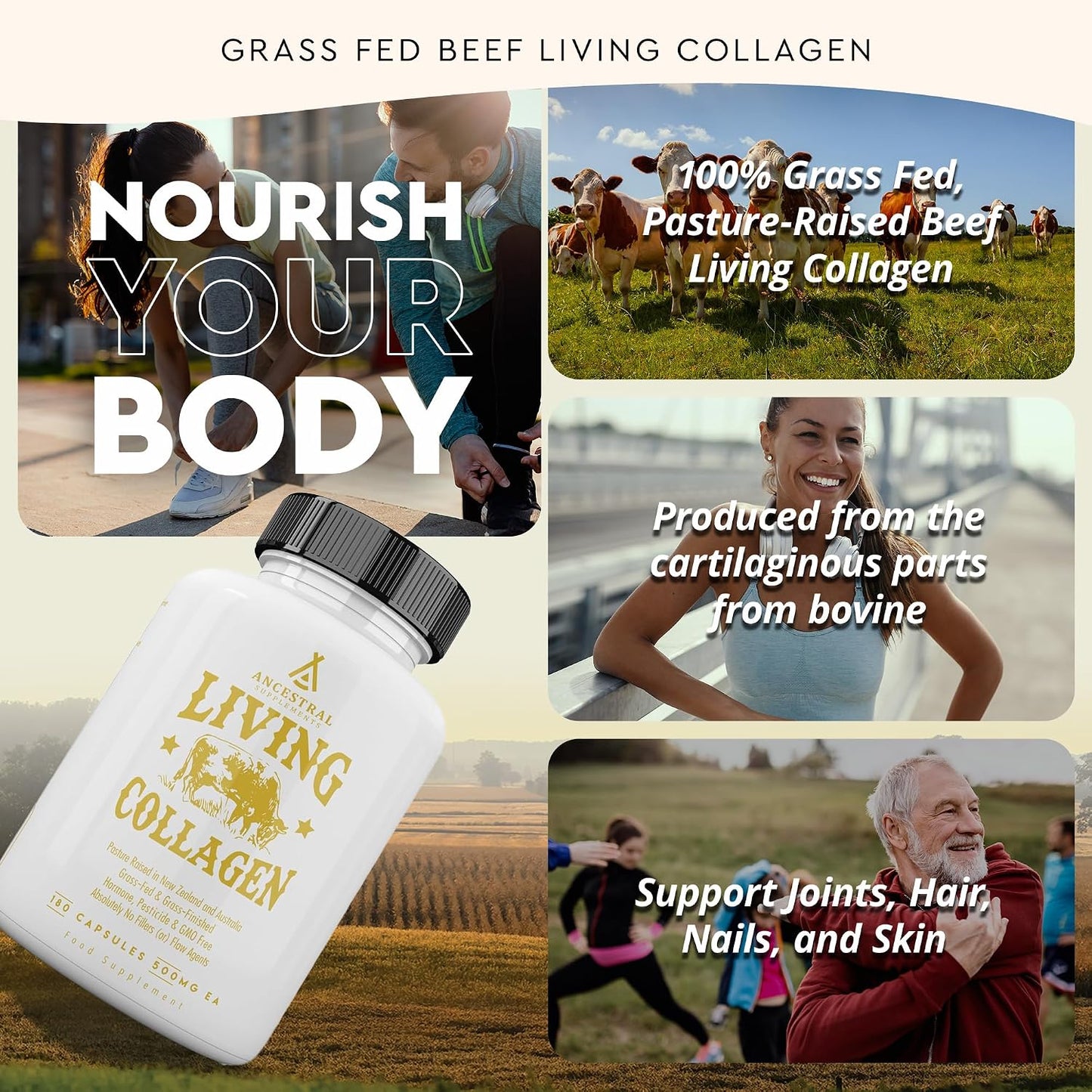 Ancestral Supplements Grass Fed Beef Living Collagen Nutritional Powder Supplement, 3000mg, Promotes Healthier, Younger Looking Skin, Hair, Nails and Joints, Type II, 180 Capsules
