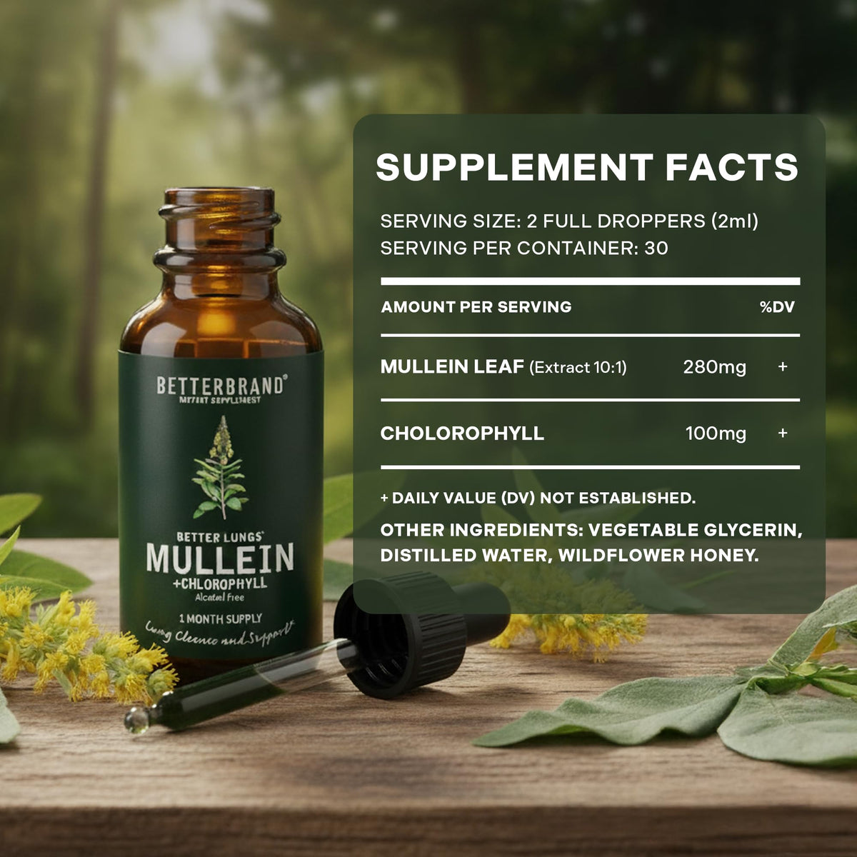 Betterbrand Mullein Drops for Lung Detox - Mullein Leaf Tincture with Chlorophyll - Helps Support Respiratory Health Betterbrand