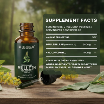 Betterbrand Mullein Drops for Lung Detox - Mullein Leaf Tincture with Chlorophyll - Helps Support Respiratory Health Betterbrand