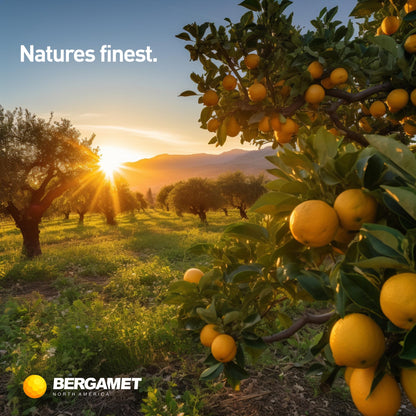 BergaMet Citrus Bergamot Supplement, 170:1 Extract, 1200mg per Serving, 80% Polyphenols, Italian Citrus Bergamot Supplement, BergaMet