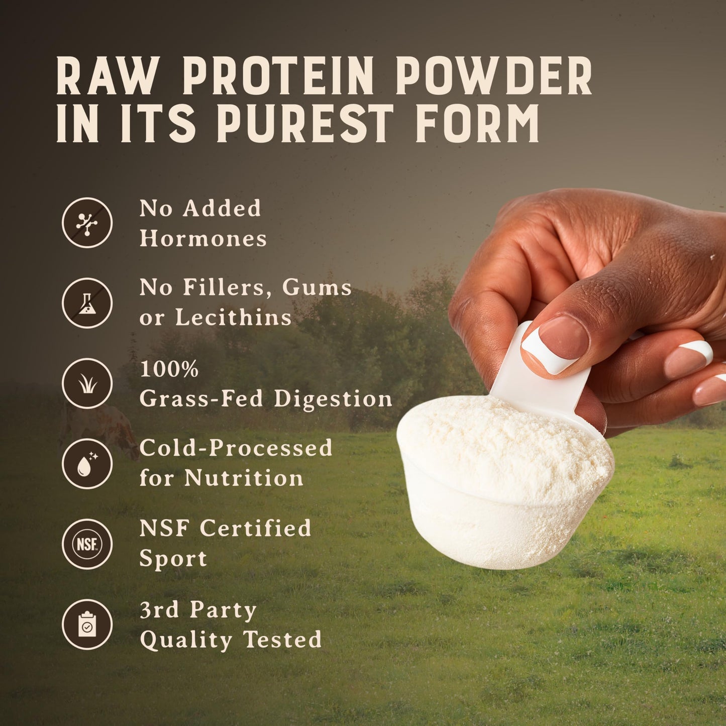 100% Grass Fed Whey Chocolate Protein Powder – Only Four Ingrediants, Absolutely Nothing Artificial – 25g of Grass Fed Whey Protein Per Serving – Clean Post Workout Recovery Powder – 2.84 lbs