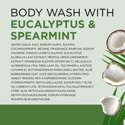 Dr Teal's Body Wash with Pure Epsom Salt, Relax & Relief with Eucalyptus & Spearmint, 24 fl oz (Pack of 2) Dr Teal's