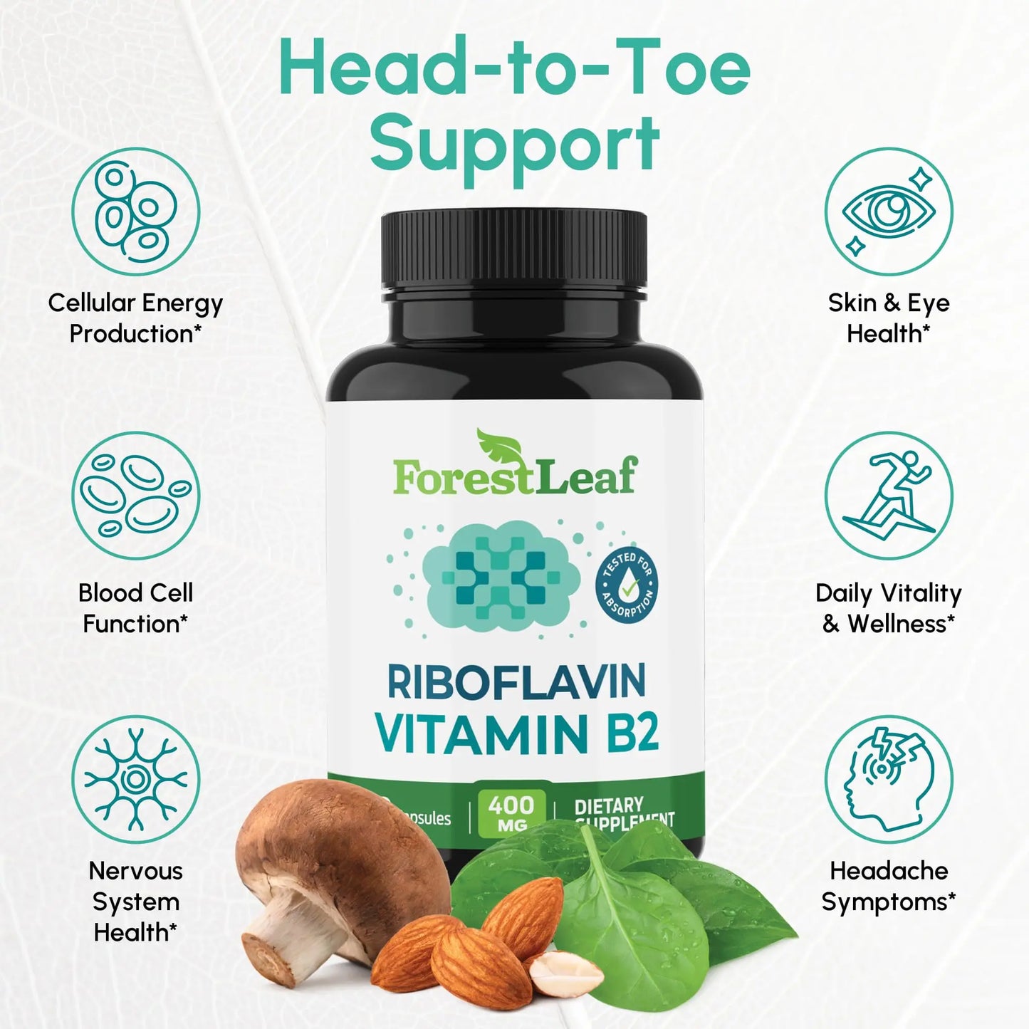 Vitamin B2 Riboflavin 400mg - Energy, Skin & Cellular Health Supplement - Nervous System Support - Vitamin B 2 Vit B - Non-GMO & Gluten Free - B2 Vitamin 400mg ForestLeaf