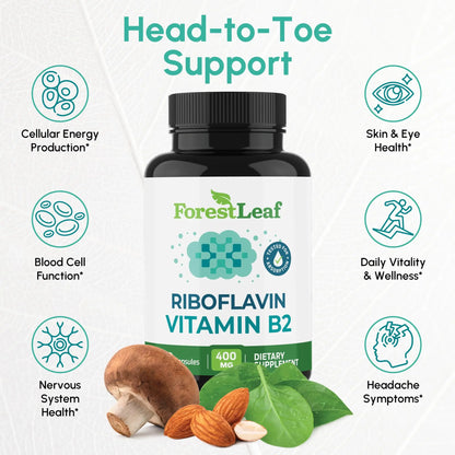 Vitamin B2 Riboflavin 400mg - Energy, Skin & Cellular Health Supplement - Nervous System Support - Vitamin B 2 Vit B - Non-GMO & Gluten Free - B2 Vitamin 400mg ForestLeaf