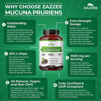Zazzee Extra Strength Mucuna Pruriens 8:1 Extract, 20% L-Dopa, 220 Capsules | 1000 mg Per Serving, Vegan, 110 Day Supply, Concentrated and Standardized 8X Extract, 100% Vegetarian, All-Natural, Non-GMO Gsupps Australia