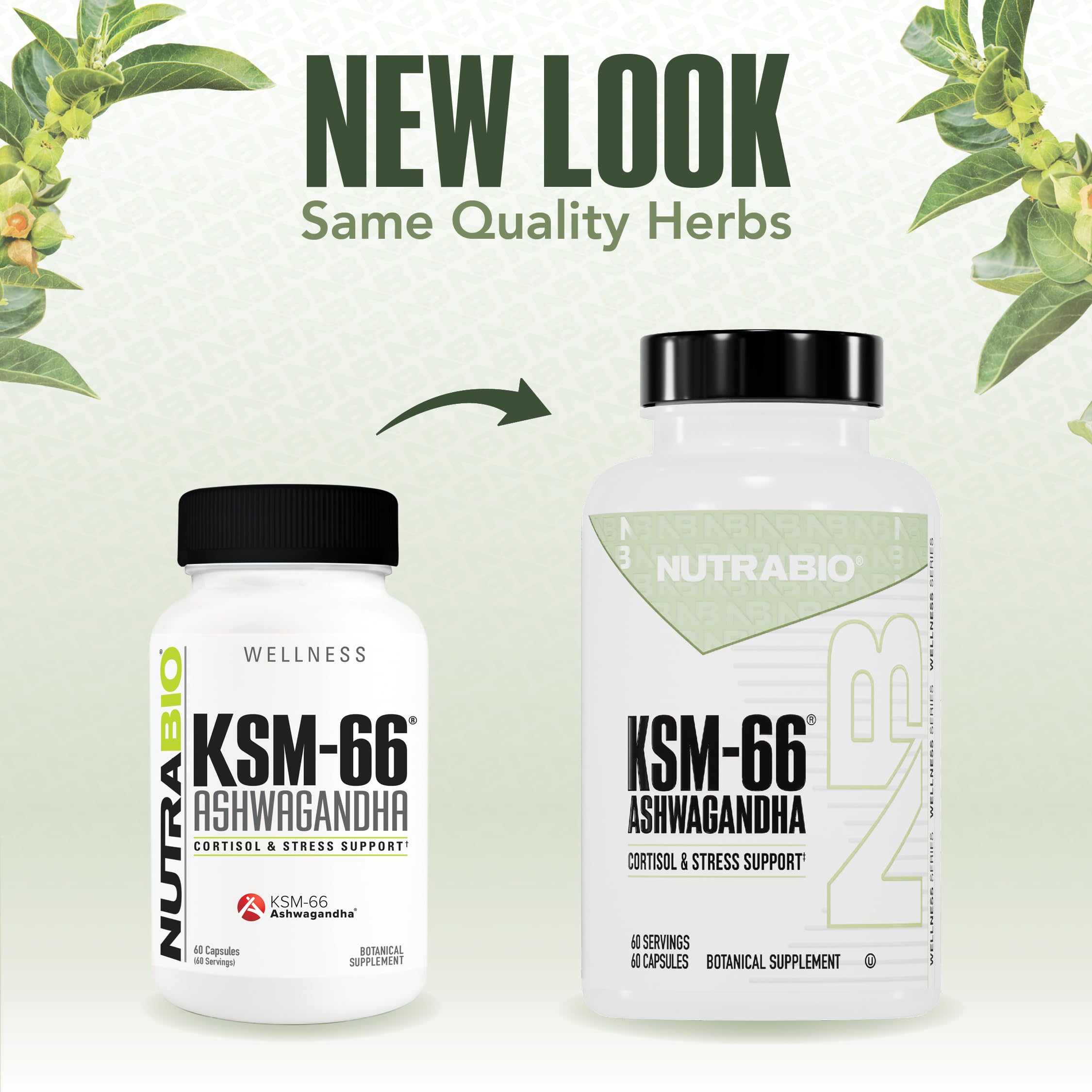 NutraBio Ashwagandha KSM-66 | Ashwagandha Herbal Supplement for Stress, Mood, & Performance | 600 MG of Clinically Studied KSM66 60 Capsules NutraBio buy australia supplements