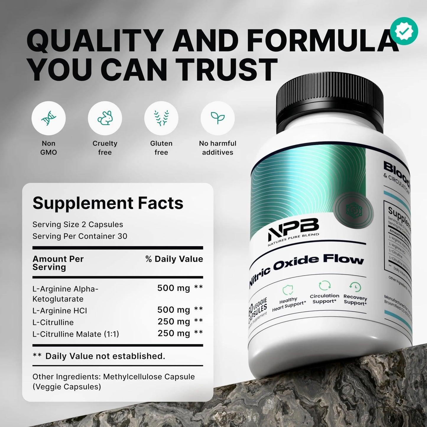 Nature's Pure Blend Nitric Oxide Supplements for Men – L-Arginine L-Citrulline – Heart Support & Flow Circulation Booster – 1500MG L Arginine and L Citrulline, Preworkout, Bodybuilding Nature's Pure Blend