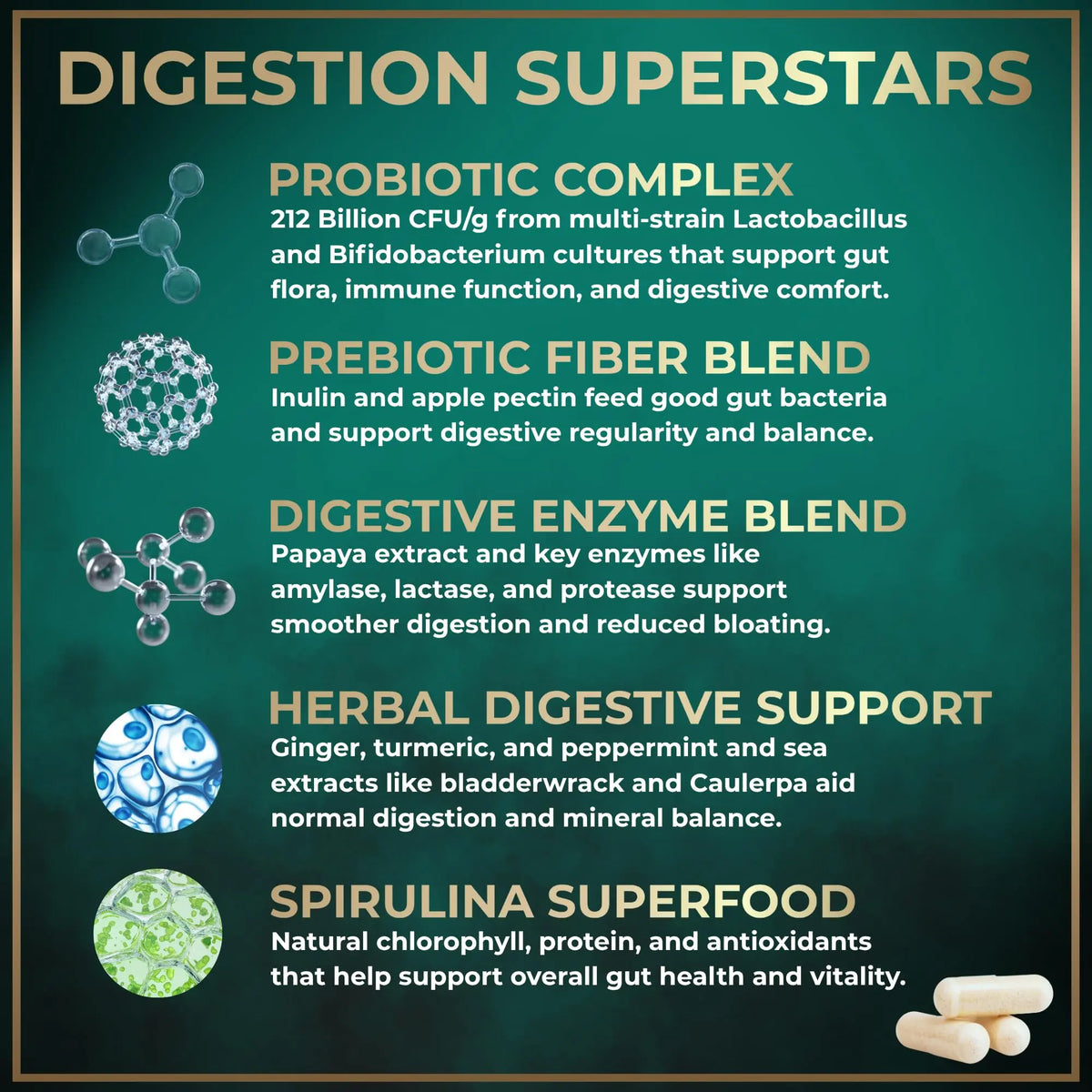 Complete Digestive Enzymes for Women & Men - 800mg Vegan Digestive Enzymes and Probiotics Prebiotics - Bloating Support, Gut Health & Digestion Supplement WILD FUEL