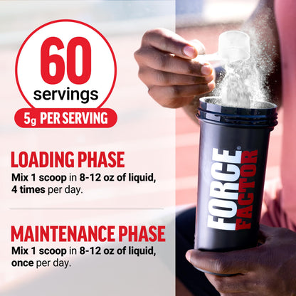 Force Factor Creatine Monohydrate Powder, 5g Micronized Dose to Support Muscle Growth, Strength, Recovery, Cognitive Health & Memory Force Factor