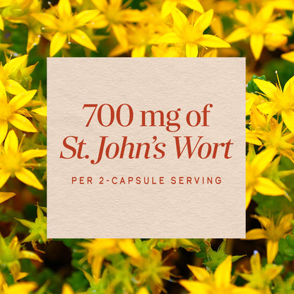 Nature’s Way St. John’s Wort Capsules, Herbal Supplement Promotes a Positive Outlook*, 700 mg per 2-capsule serving Nature's Way