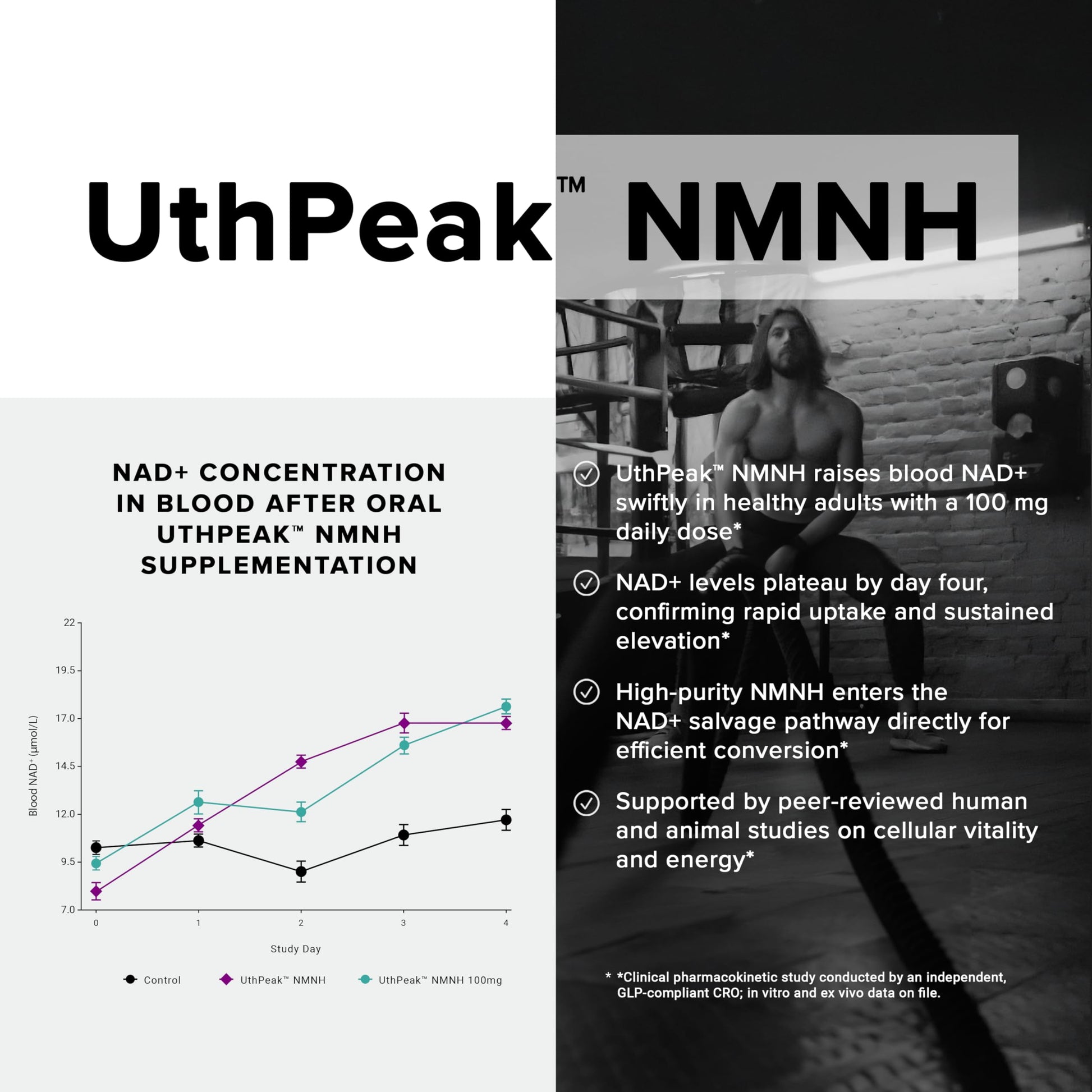 Toniiq NMNH Supplement – Ultra High Potency 1,000mg Complex with Clinically Studied Uthpeak™ NMNH, Resveratrol, Quercetin & TMG – Highly Purified – Third-Party Lab Tested – 60 Capsules Toniiq buy australia supplements