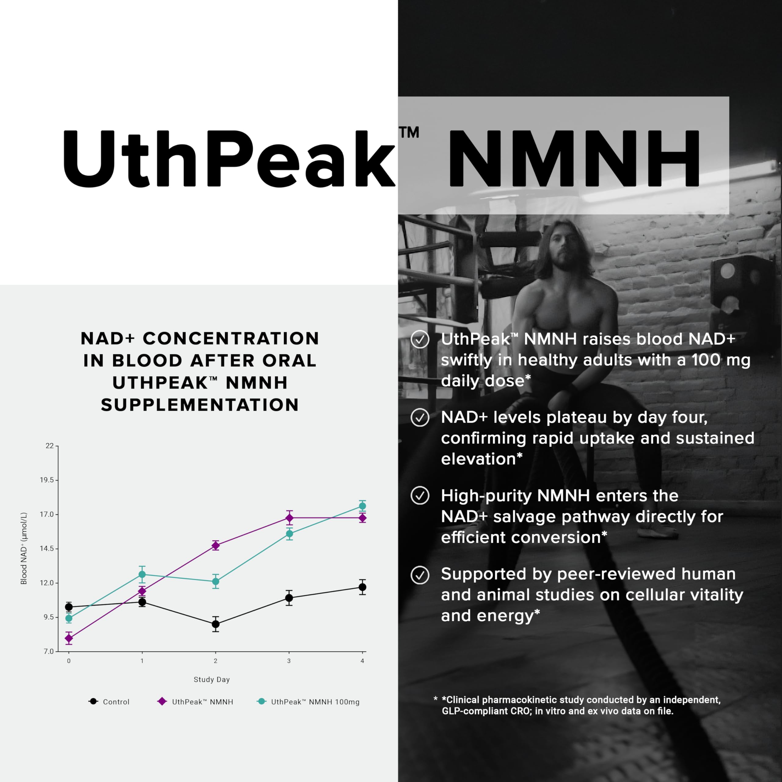 Toniiq NMNH Supplement – Ultra High Potency 1,000mg Complex with Clinically Studied Uthpeak™ NMNH, Resveratrol, Quercetin & TMG – Highly Purified – Third-Party Lab Tested – 60 Capsules Toniiq buy australia supplements