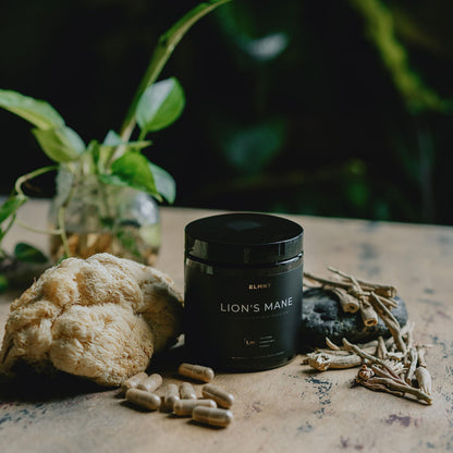 16x Strength Lions Mane Supplement Capsules Super Nootropic w. Ashwagandha & Rhodiola - Highest Potency 16:1 Lion's Mane Mushroom Extract 50% Polysaccharides TERRA ELMNT